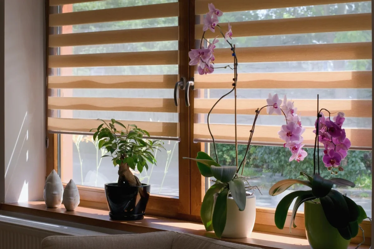 Luxury zebra blinds affordable Dubai design
